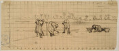 Women Working In The Fields