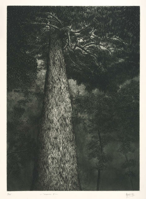 If a tree falls in a forest