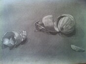 Drawing Classes with Hannah Beehre