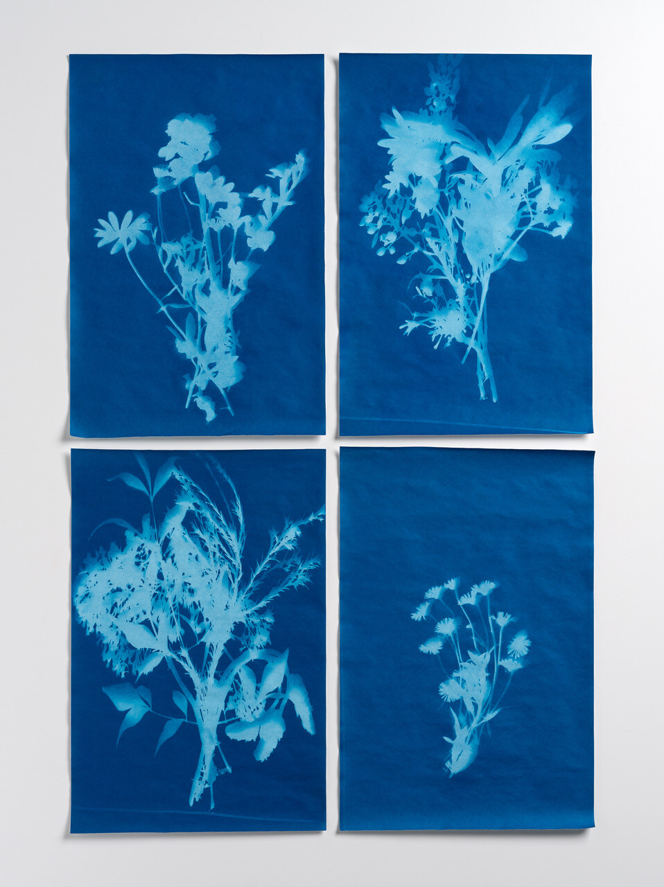 Artist Talk: Jess Dare at The National