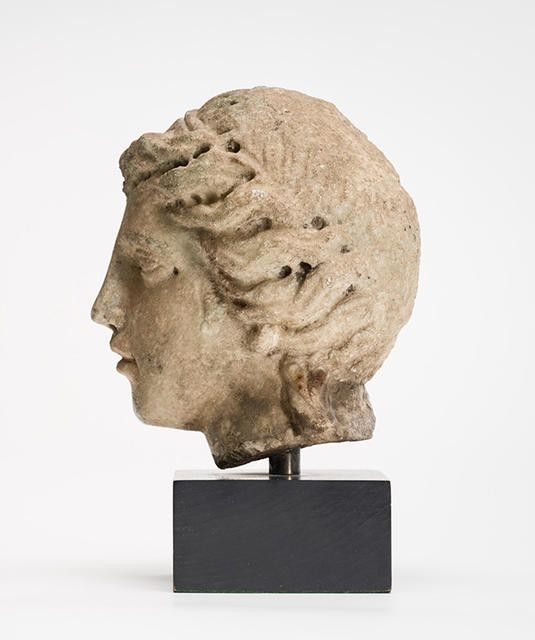 Head of A Young Woman