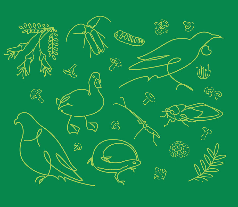 Activation for City Nature Challenge