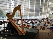 Harp Yoga: The Antidote to Pre-Christmas Stress