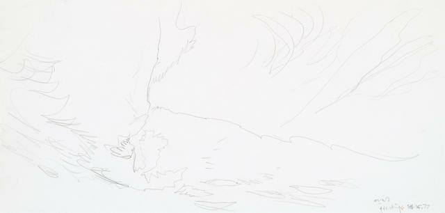 Study For ‘Te Tihi O Kahukura And Sky’ Series