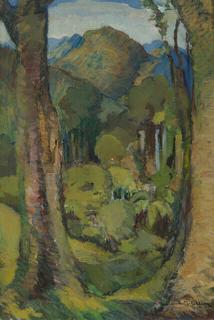 View Through Giant Trunks, Waitotara by Edith Collier
