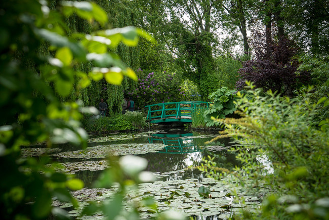 Painting the Modern Garden: Monet to Matisse