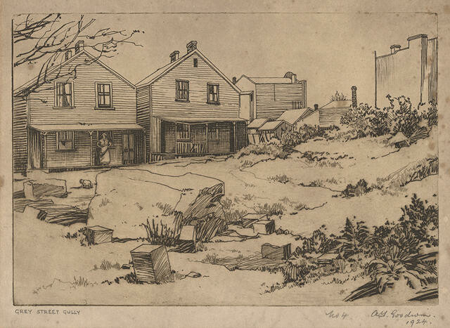 Grey Street Gully