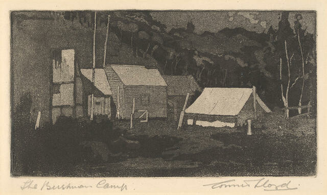 The Bushman's Camp