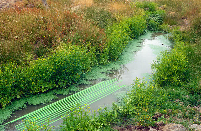 Image: uploads/2025_11/2012_013.jpg