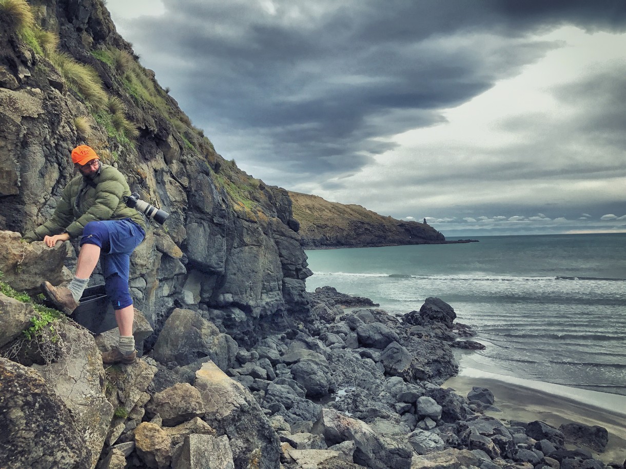 Peter Langlands on Foraging