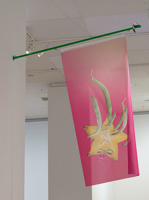 Image: uploads/2026_01/2024_112.jpg