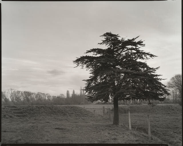 Image: uploads/2026_03/2024_1365Eb.jpg