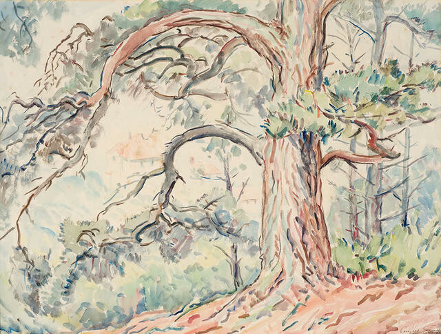 From The Botanic Gardens, Wellington