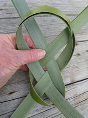 Waitangi Day: Raranga Weaving