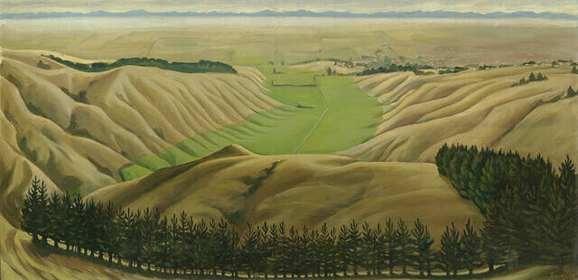 Canterbury Plains from Cashmere Hills by Doris Lusk