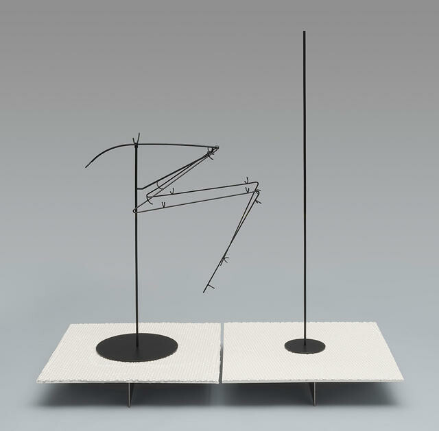 Haast's eagle, Aquila moorei