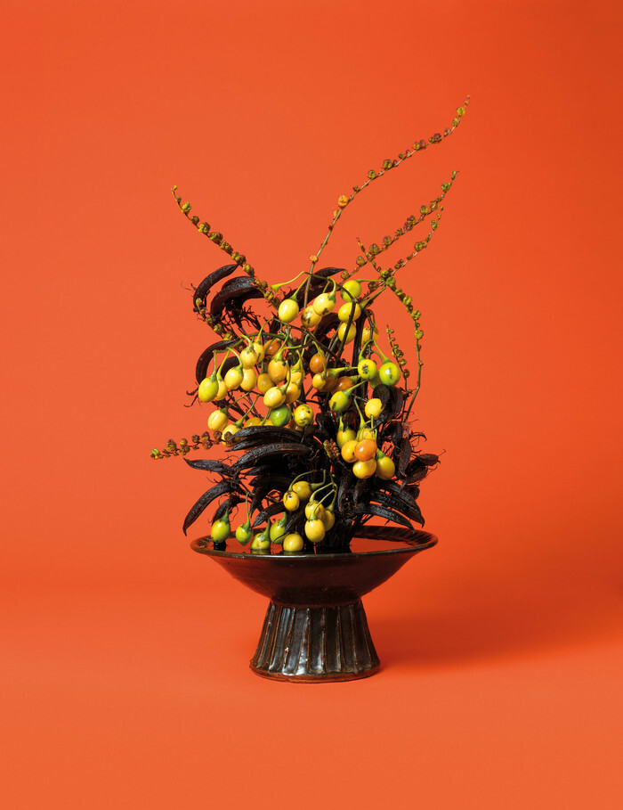 jane says by Ann Shelton