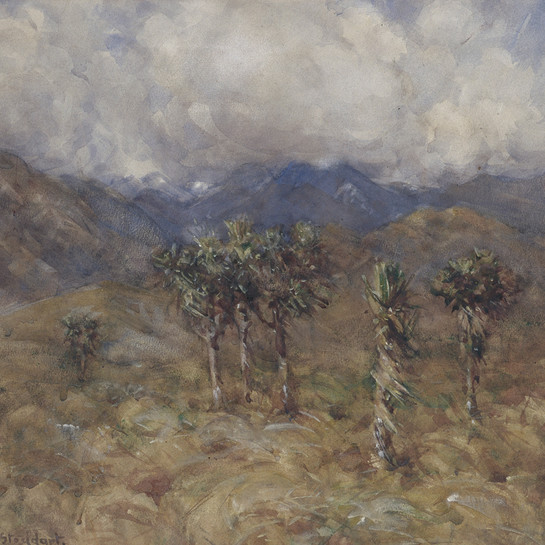 Margaret Olrog Stoddart Cabbage Trees, Clarence Valley, Kaikoura. Watercolour. Christchurch Art Gallery Trust Collection (Purchased with funds from Diana, Lady Isaac)  
