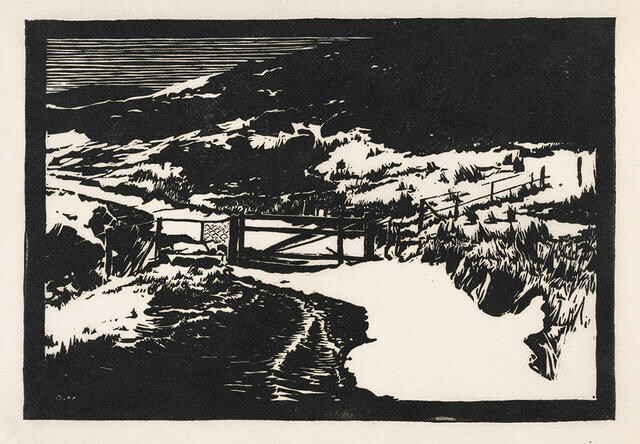 Landscape in Snow