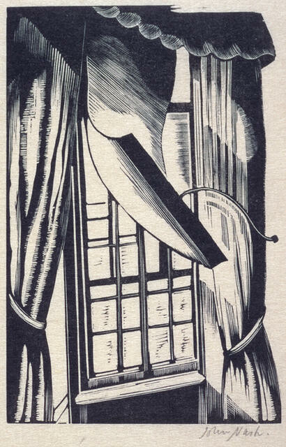Window