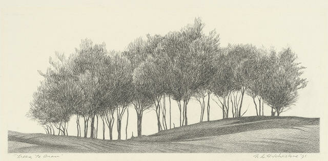 Trees, Te Anau