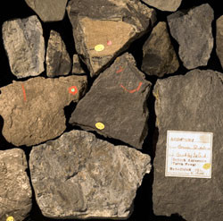 Fossil Cairn: The Weight of Destiny