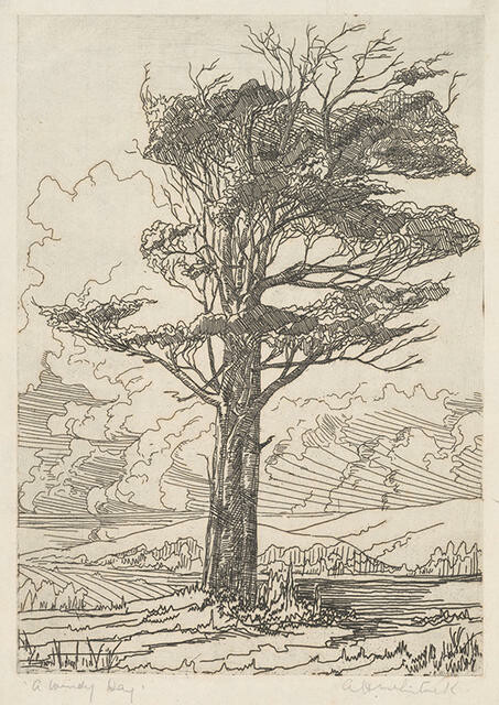 A Windy Day