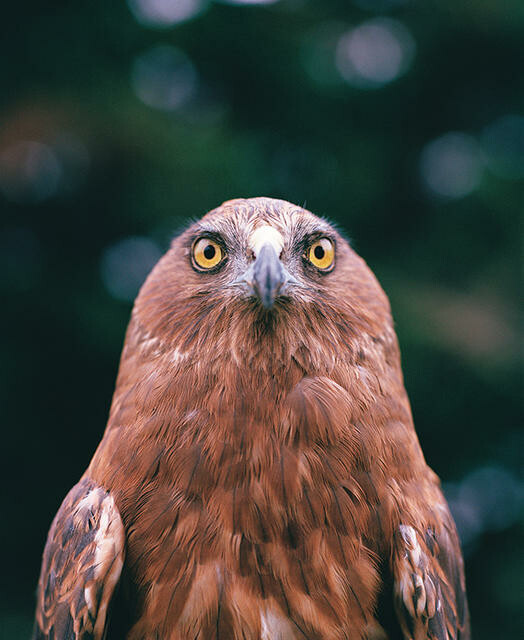 Image: uploads/2026_02/2025_224.jpg