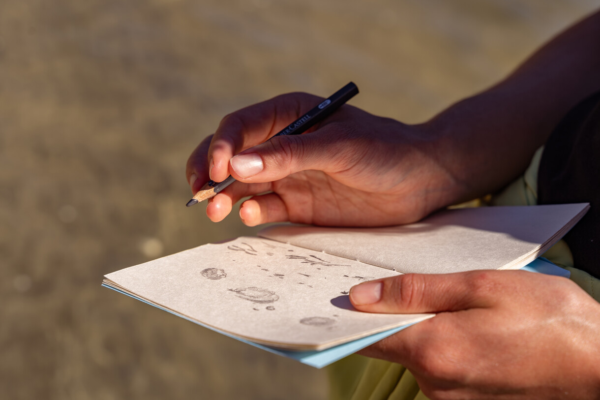 Field Drawing with Madison Kelly