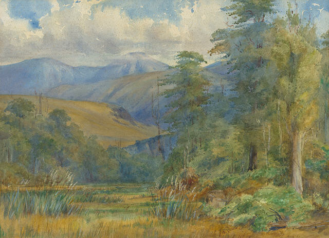 In The Waimak Gorge, Woodstock