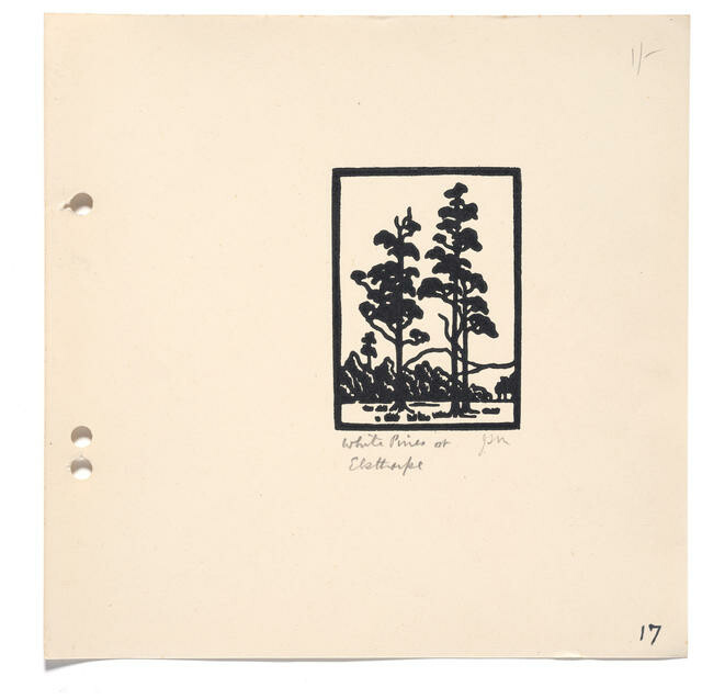 White Pines at Elsthorpe