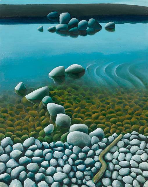 Whitebait Races