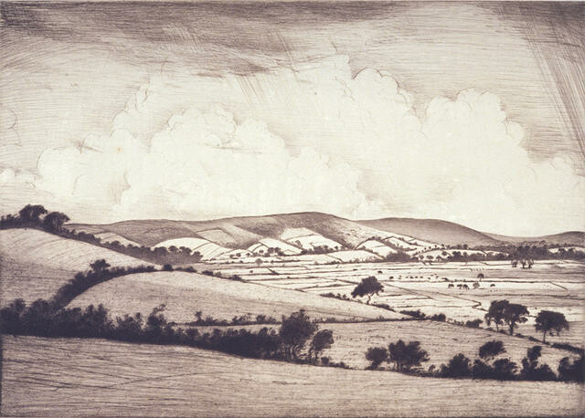 A Valley In The South Downs