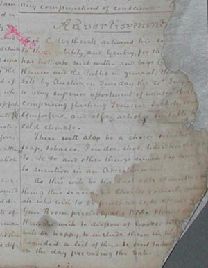 Lynn Campbell: Fine Art Paper Conservator