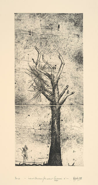Denise Copland - Natural Structures/un-natural Conditions-4-otago image item