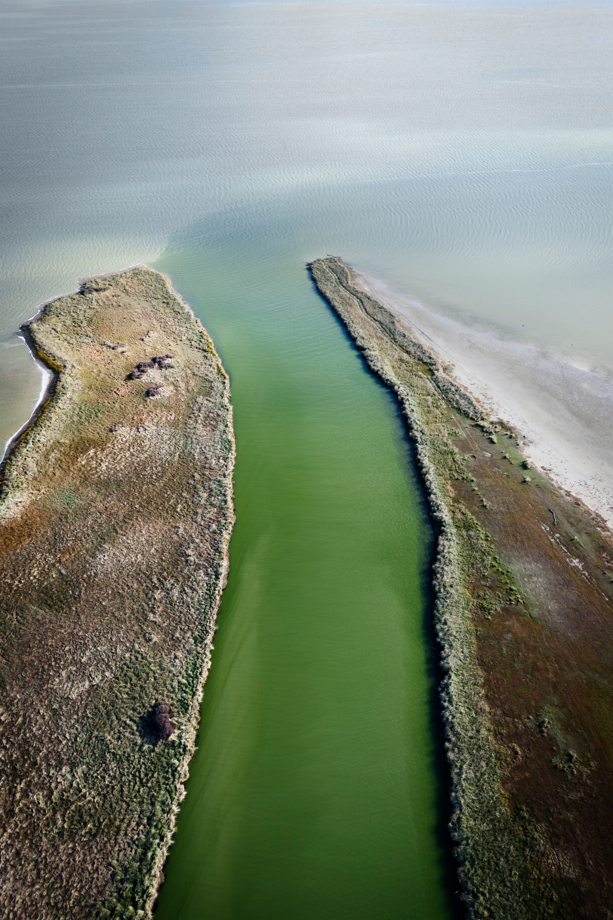 The Future of Freshwater: Law, Rangatiratanga and Governance