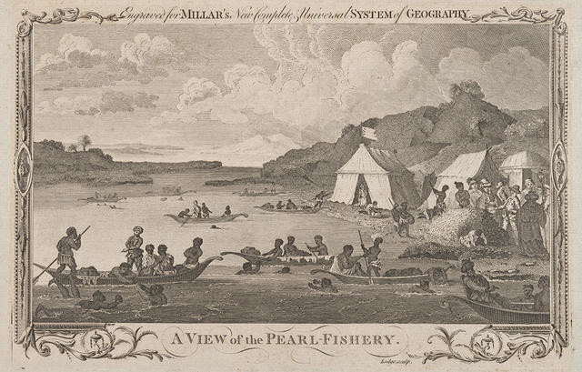 A View of the Pearl Fishery