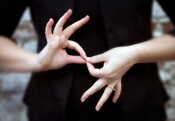NZSL Lunchtime Language