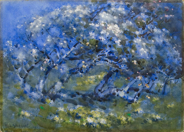 Visual Connections: Wellbeing Weekend