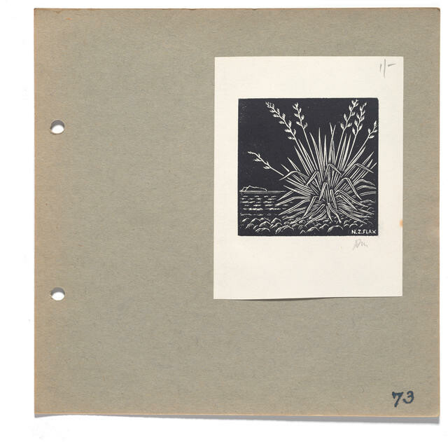 New Zealand Flax