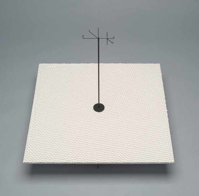 Stirton's false-toothed pelican, Neodontornis stirtoni