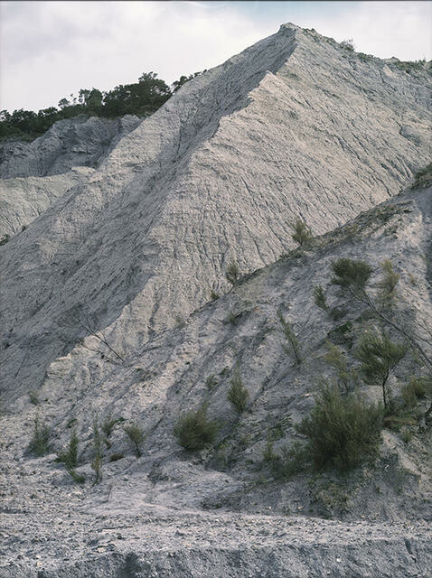 Image: uploads/2025_11/2024_1095Ec.jpg