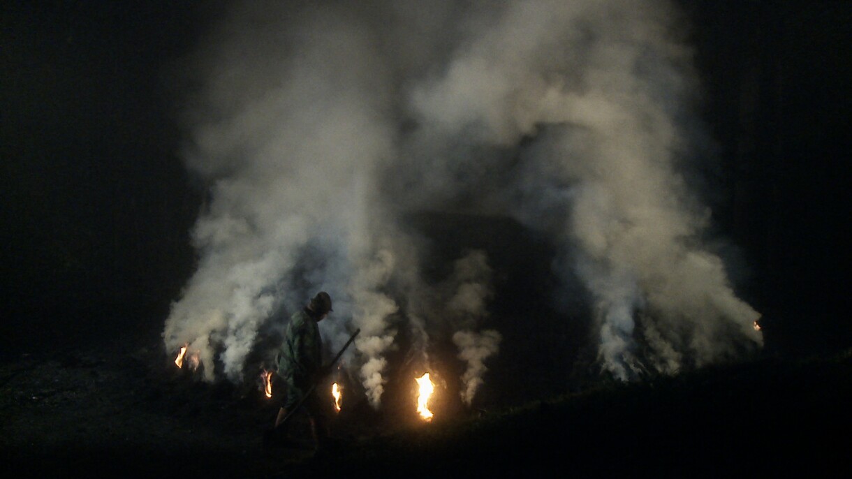 German Film Festival 2018: Pure Charcoal (Köhlernächte)