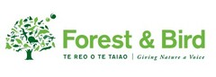Forest and Bird