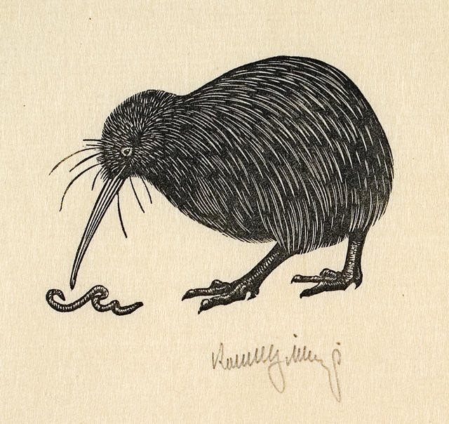 Untitled (Kiwi and Worm)