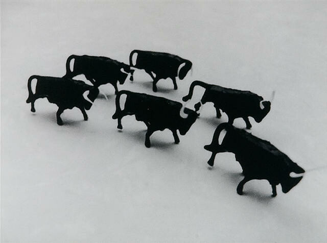 Bulls