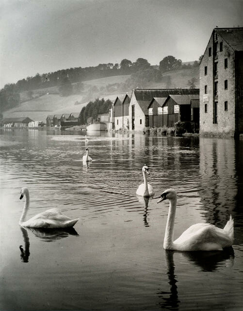 River Dart at Totnes, Devon