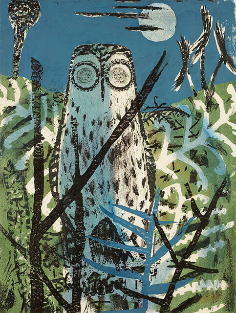 Morepork and Pungas
