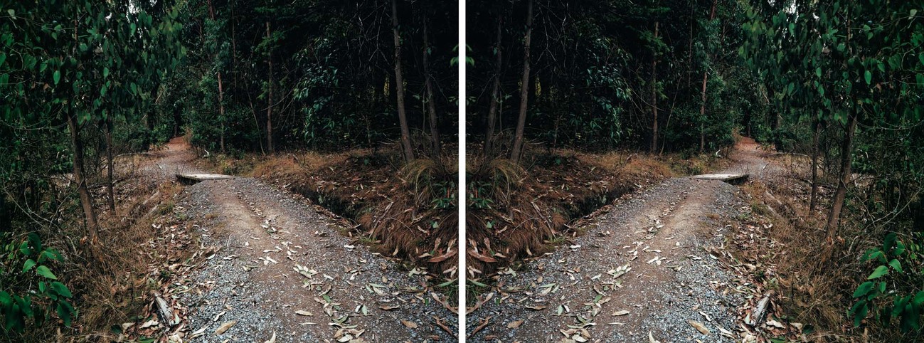 Ann Shelton Doublet (After Heavenly Creatures), Parker-Hulme Crime Scene Port Hills, Christchurch, New Zealand 2001. Diptych, C-type prints. From the series Public Places. Collection of Christchurch Art Gallery Te Puna o Waiwhetū, purchased 2004