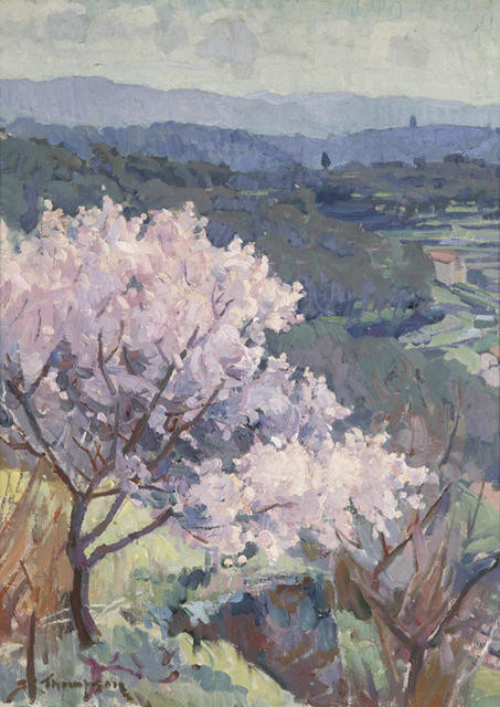 Almond blossom, Grasse